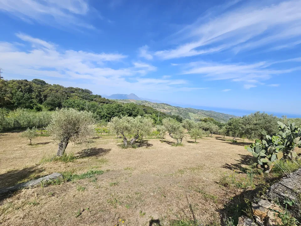 Terra a Collesano, Palermo - foto 1
